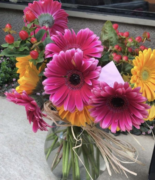 gerberas flowers