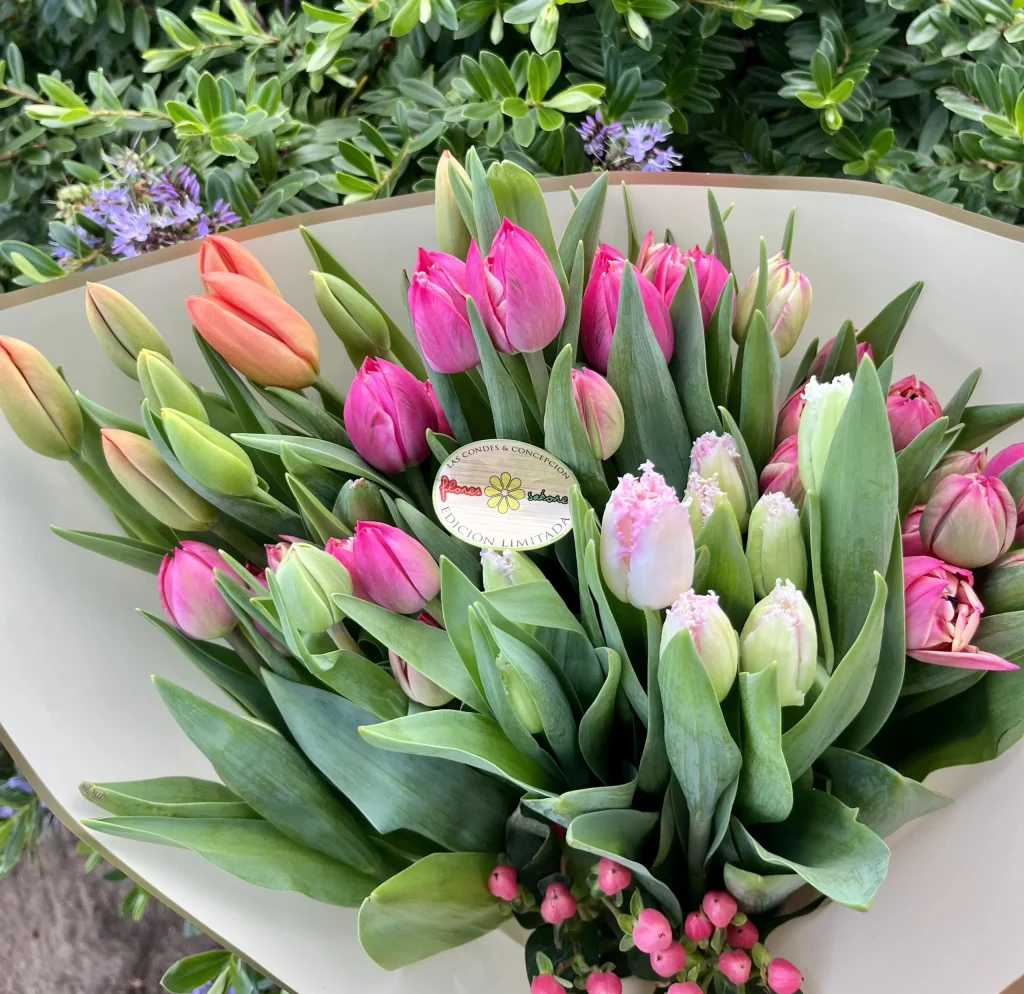 Luxury Tulips Bouquet