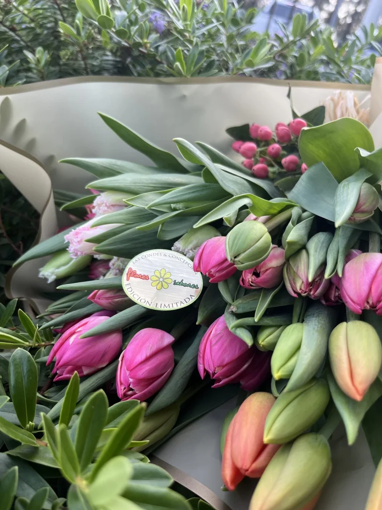 Luxury tulip bouquet for West Hollywood flower delivery by Flores & Sabores.